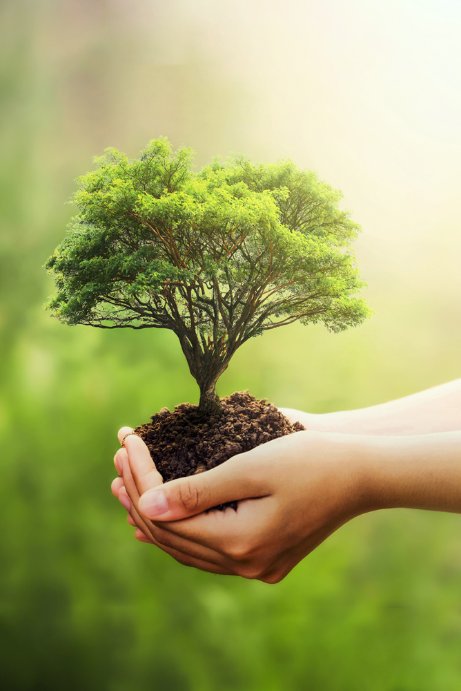 Environmental Protection